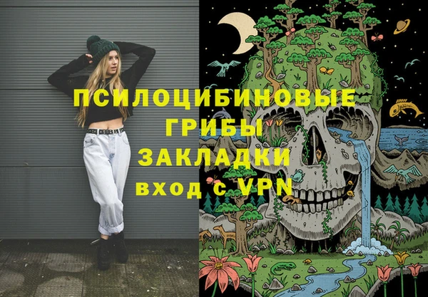 бошки Пролетарск