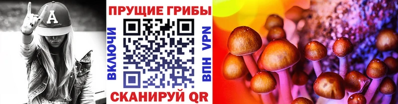 Псилоцибиновые грибы прущие грибы  Купить где  Суздаль 